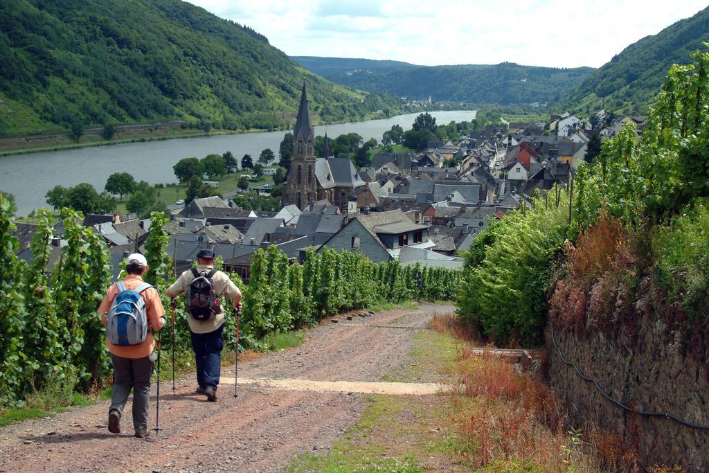 Wein- Und Gaestehaus St. Aldegundishof Sankt Aldegund Bagian luar foto