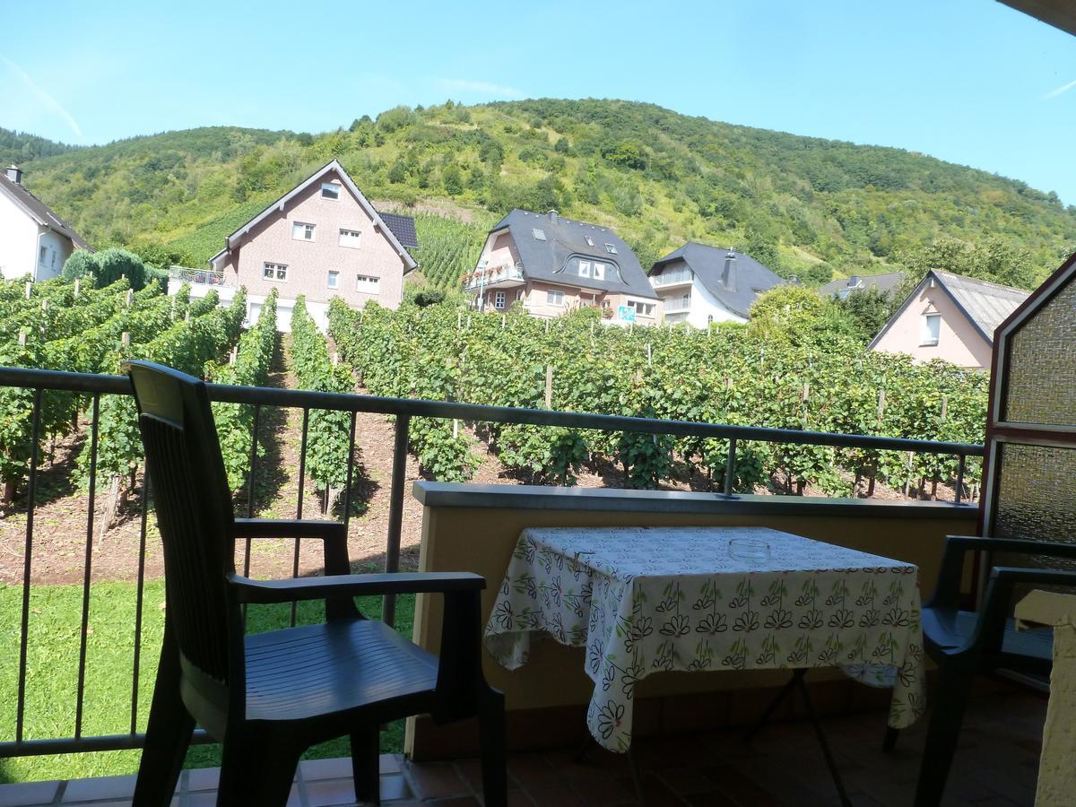 Wein- Und Gaestehaus St. Aldegundishof Sankt Aldegund Bagian luar foto